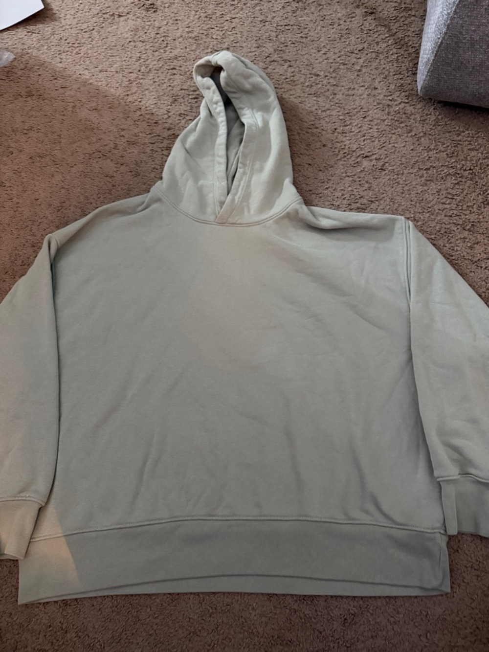 American Eagle Outfitters Sage Green Hooded Pullover